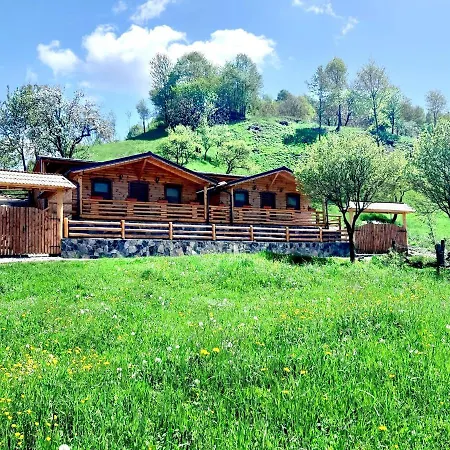 Holiday home Casutele De Sub *