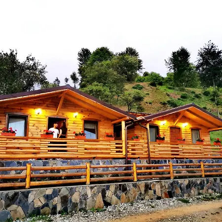 Holiday home Casutele De Sub